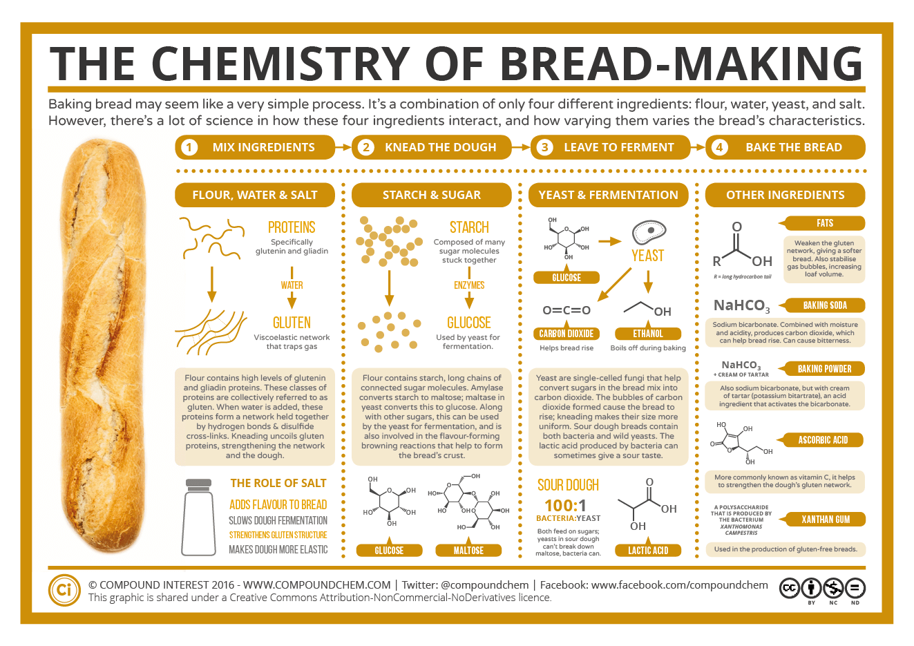 The Chemistry of Bread Making